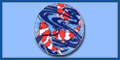 http://www.koidokter.com