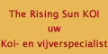 http://www.trskoi.nl